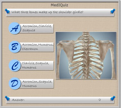 Spine the spine is composed of 33 bones called vertebrae, which stack together to form the spinal canal. What bones make up the shoulder girdle? - Scientific ...