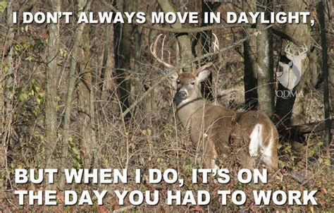 78 Best Images About Hunting Memes On Pinterest Deer Hunting A Deer