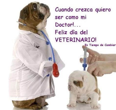 El 6 de agosto es el día del veterinario en la argentina gracias a que en ese día de 1883 se inauguraron las clases del instituto superior de agronomía y veterinaria en el predio. Feliz Día del Veterinario | Frases, citas y poemas | Pinterest
