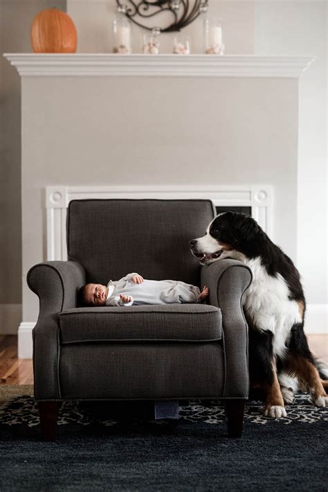 8 Tried And True Ways To Photograph Babies And Pets Together
