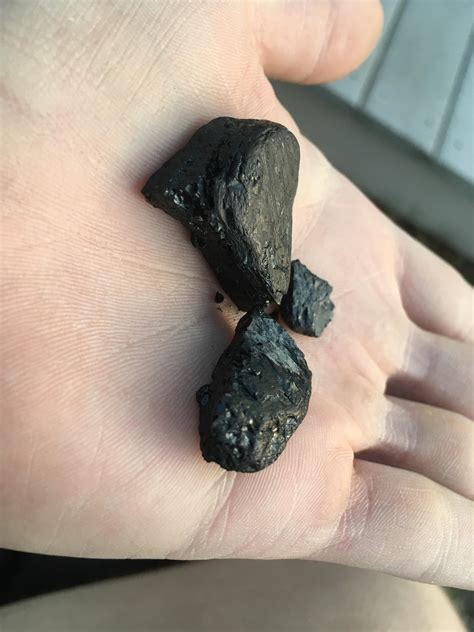 One day wealthy people discovered their rocks and saw just how beautiful they could be. Small, malleable black rock. Found on the shore of Lake ...