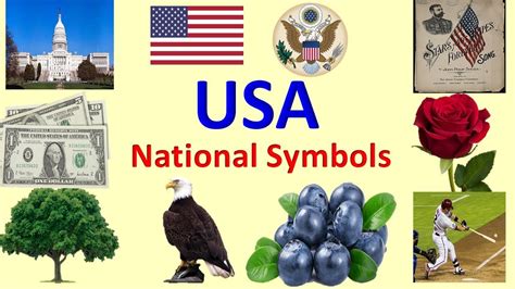 National Symbols Of United States Of America Usa United States