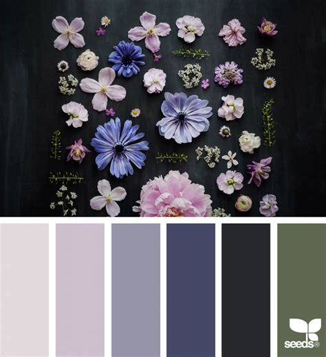 Du blanc pur aux nuances cassé découvrez les subtilités nuancier des blancs cassés de chez ressource, 24 nuances de jouer sur les variantes de blanc donne de la vie à la pièce, une ambiance couleur zen et lorsque cette teinte. Flora Hues (design seeds) | Nuancier couleur, La vie en ...