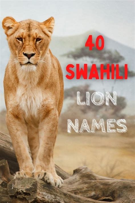 40 Swahili Lion Names Top Names For A Lion In Swahili