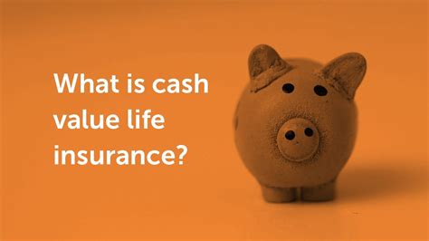 Cash Value Life Insurance Insurance Noon