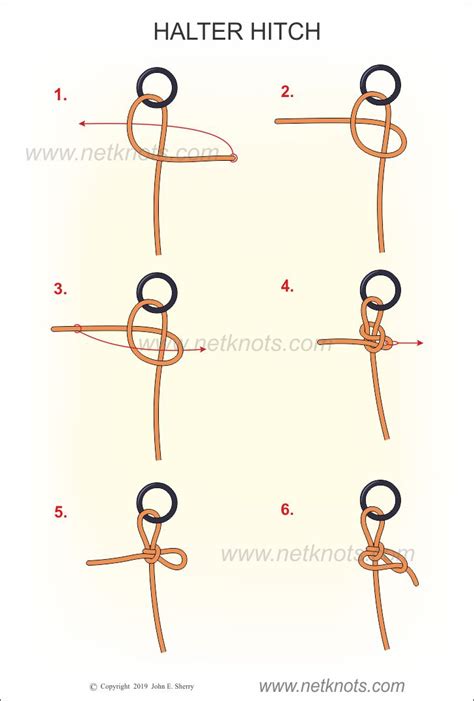 How To Tie A Halter Hitch Rope Knots By Netknots