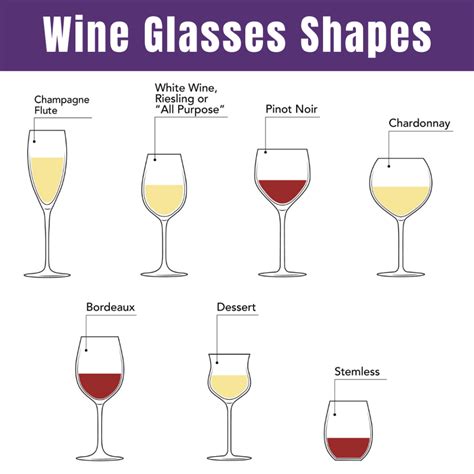 A Comprehensive Guide To Different Types Of Wine Glasses From The Vine