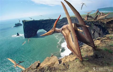Pteranodon Dinosaurs Pictures And Facts