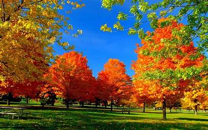 Fall Autumn Desktop Season Wallpapers Nature Leaves