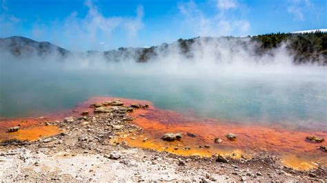 Rotorua Hot Springs In New Zealands North Island The Courier Mail
