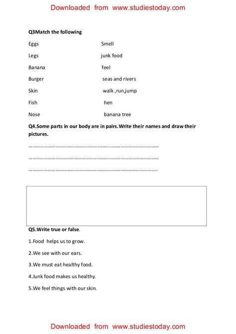 Water can be solid, liquid and gas form. Kendriya Vidyalaya Worksheets For Class 3 Evs Food We Eat - Advance Worksheet