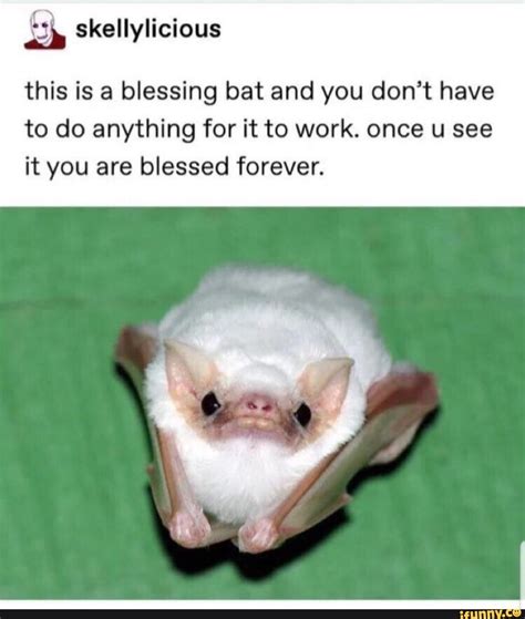 This Is A Blessing Bat And You Dont Have To Do Anything For It To Work