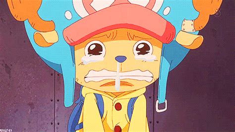 Its Always Good To See Him Crying One Piece  Find And Share On Giphy