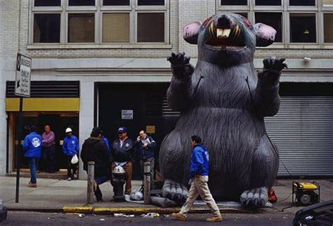The Story Behind ‘scabby The Rat Nycs Symbol Of Unionized Labor 6sqft