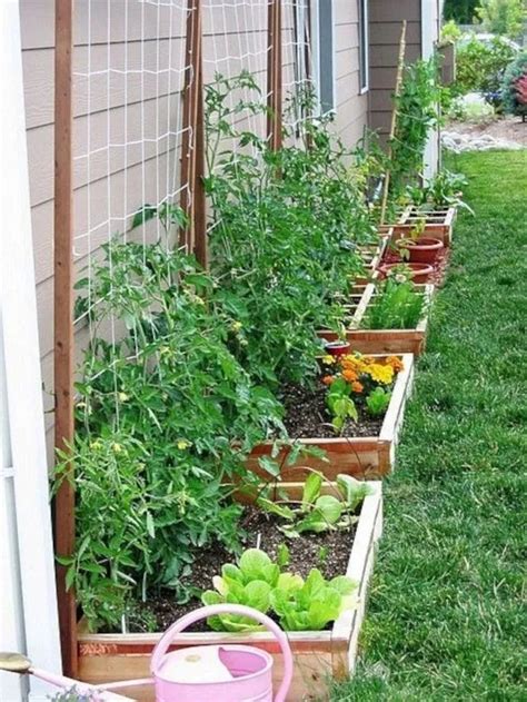 How To Plant A Small Vegetable Garden Easy Backyard