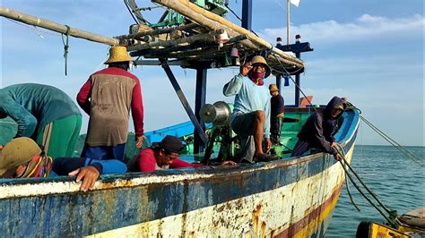 Terbaru Vlog Nelayan Bongkar Ikan Hasil Tangkapan Nelayan Tradisional