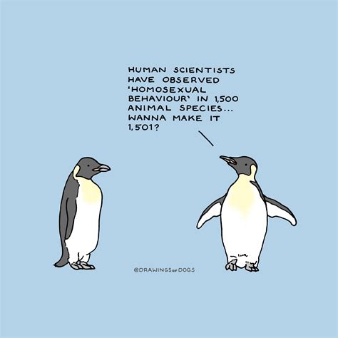 Wholesome Socially Awesome Penguin Funny