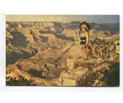 American Indian At Grand Canyon Vintage Postcard