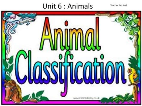 Classification Of Animals