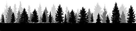 Trees Silhouette Of Forest Vector Stock Illustration Download Image