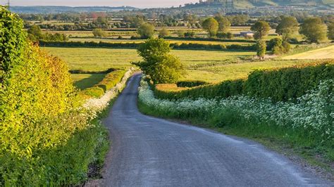Driving Tips For Devons Country Lanes Guides Toad Hall Cottages