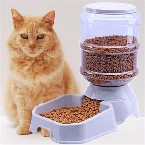 30 Best Automatic Cat Feeder 2022 Reviews Updated Guide Automatic