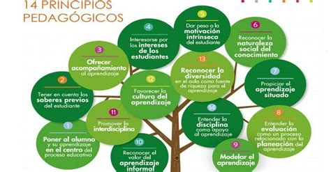 Los 14 Principios Pedagógicos Que Todo D