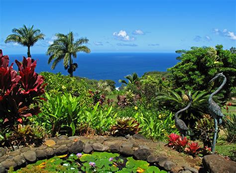 16 Gorgeous Gardens In Hawaii Youll Love To Explore