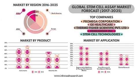 Stem Cell Assay Market Industry Trends Size Growth 2017 2025