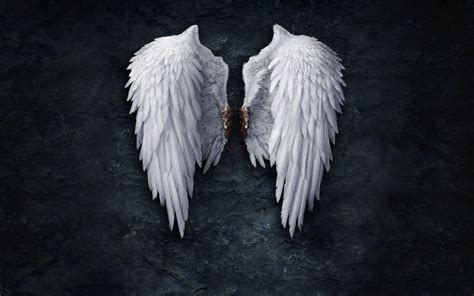 Wings Wallpapers Top Free Wings Backgrounds Wallpaperaccess
