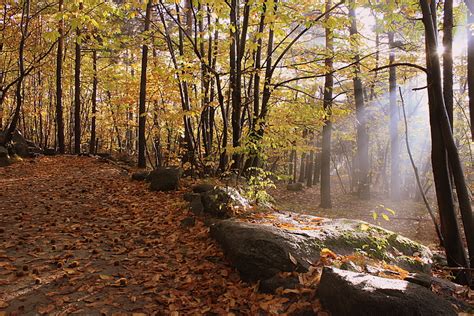 Raggio di sole, porto cesareo. Dopo la pioggia...un raggio di sole Foto % Immagini ...