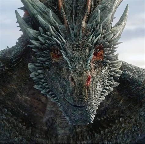 Drogon Drogon Game Of Thrones Game Of Thrones Dragons Game Of