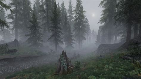 Misty Forest At Skyrim Nexus Mods And Community