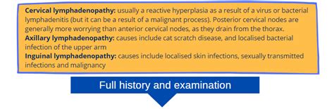 Lymphadenopathy A Pain In The Neck Or Something More Serious