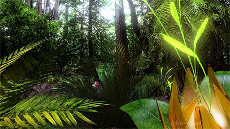 Tropical Jungle Wallpapers Top Free Tropical Jungle Backgrounds