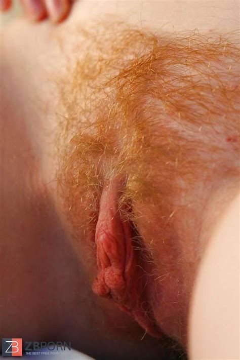 Unshaved Redhead Zb Porn