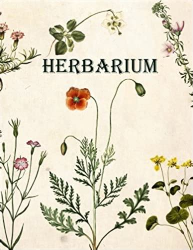 Die vorlage ist zum erstellen eines blattalbums. Herbarium Deckblatt Zum Ausdrucken