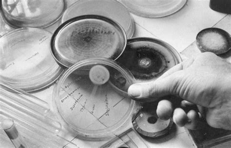 Han Pasado A Os De La Primera Dosis De Penicilina Aplicada A Un Ser Humano