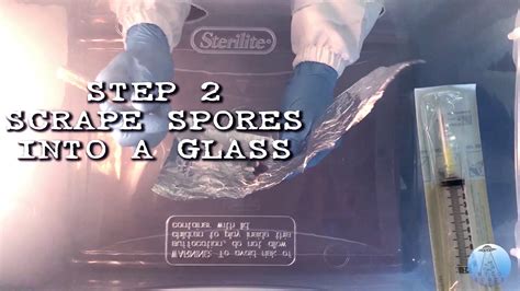 Spore syringes—what are they and how are they used? MycoGoods Spore Syringe Tutorial - YouTube