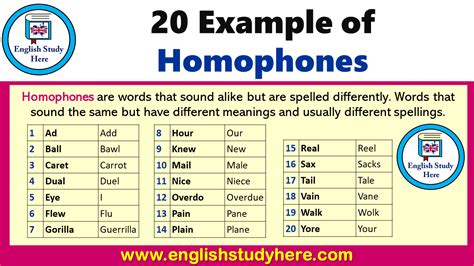 20 Example Of Homophones English Study Here