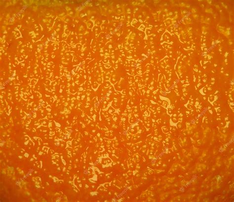 Fondo De Textura De Piel De Naranja Foto Premium