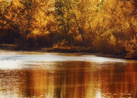 Golden Autumn Along Boise River Boise Idaho Photograph By Vishwanath