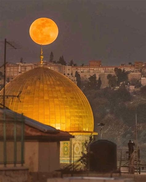 Arab World On Twitter In 2021 Islamic Pictures Jerusalem Palestine
