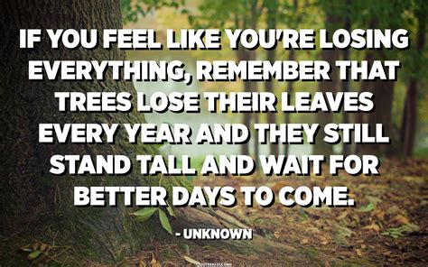 If You Feel Like Youre Losing Everything Remember That Trees Lose