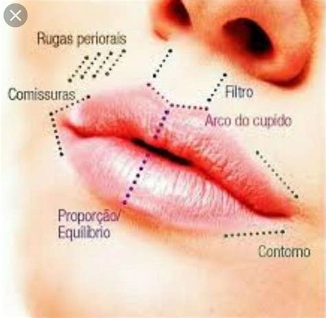 Guia Pr Tico Em Harmoniza O Facial Vol Cido Hialuronico Preenchimentos Labiais