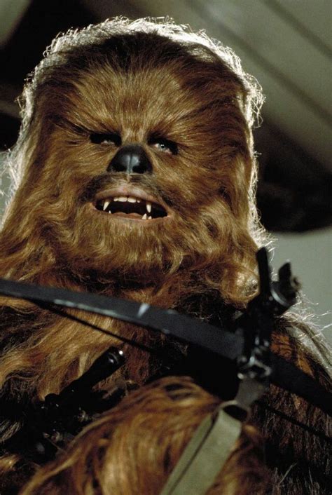 Chewbacca Star Wars And War On Pinterest