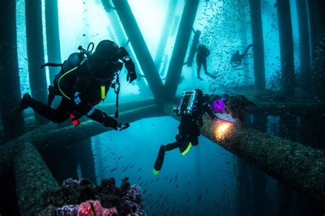 Scuba Diving In Nj Wrecks Marine Life And Spearfishing Tips To Start