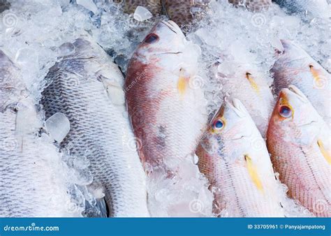 Fresh Fish On Ice Stock Image Image Of Market Lemon 33705961