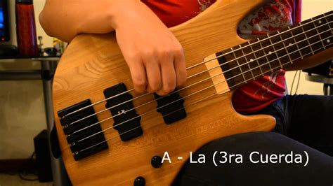 Afinaci N Bajo El Ctrico Cuerdas Referencia Bass Tuning Strings