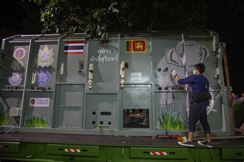 Thai Elephant Returns Home After Two Decades In Sri Lanka